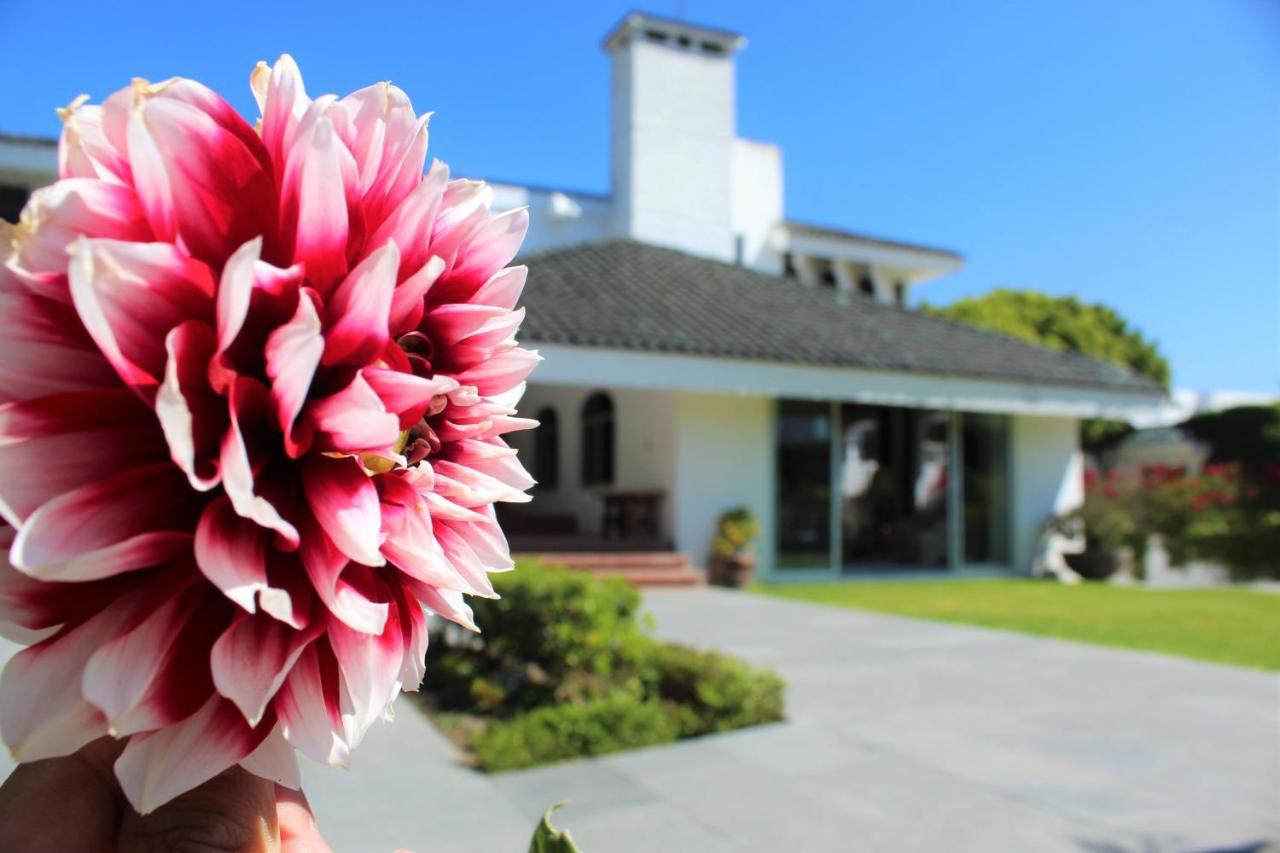 Santo Refugio Heritage Hotel San Pedro Cholula Exteriör bild